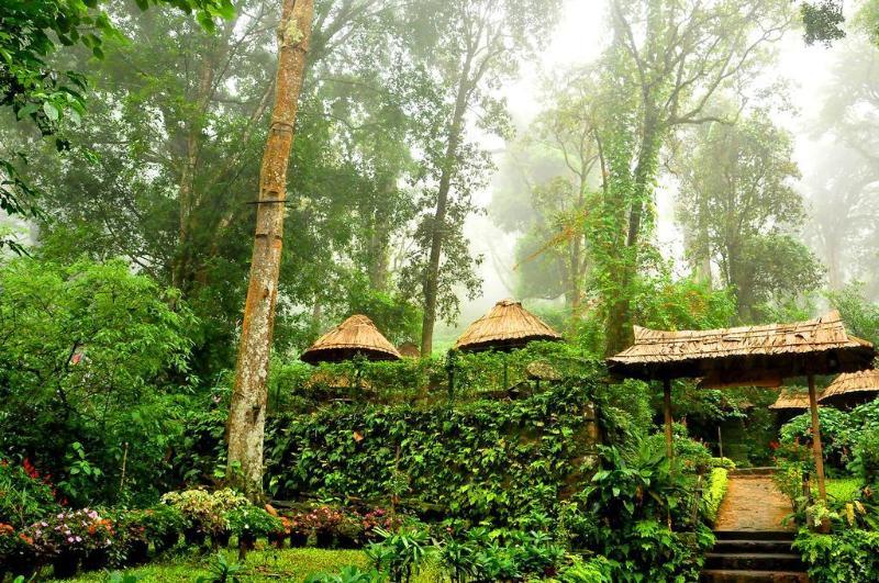 The Tall Trees Munnar Kültér fotó