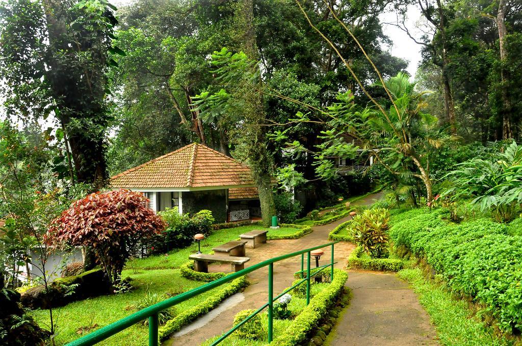 The Tall Trees Munnar Kültér fotó