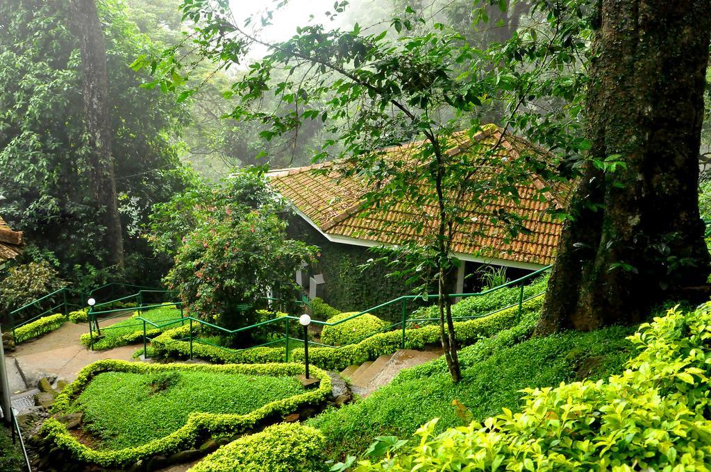 The Tall Trees Munnar Kültér fotó