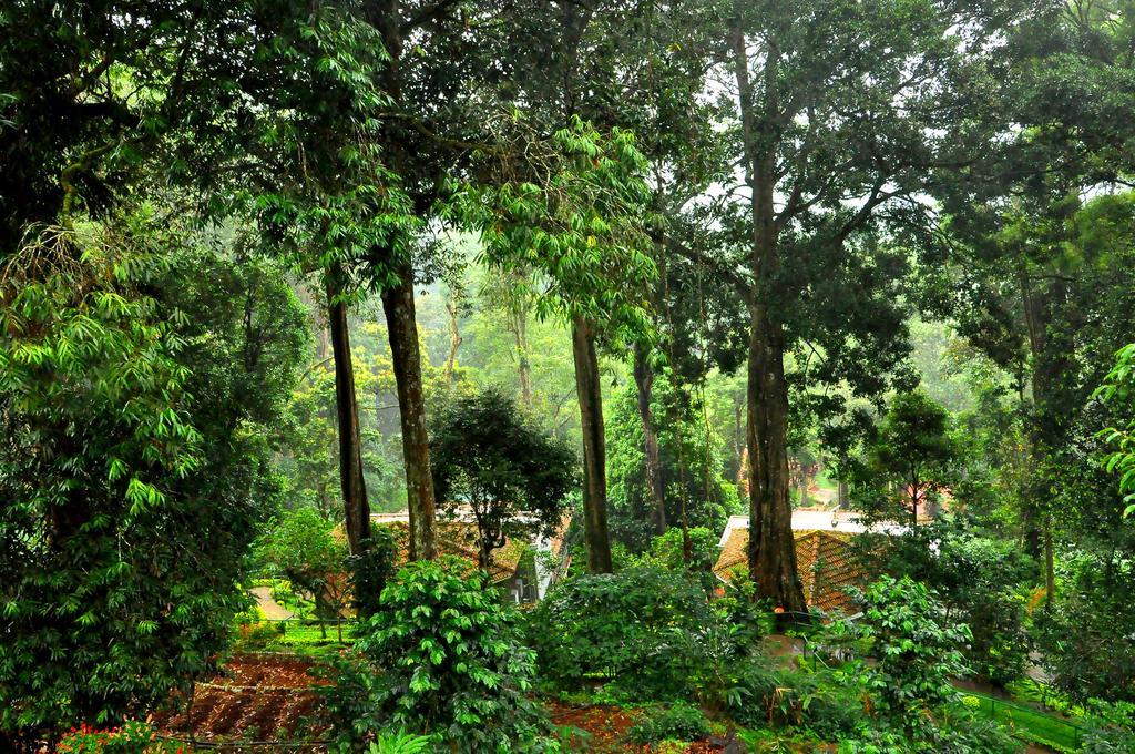 The Tall Trees Munnar Kültér fotó