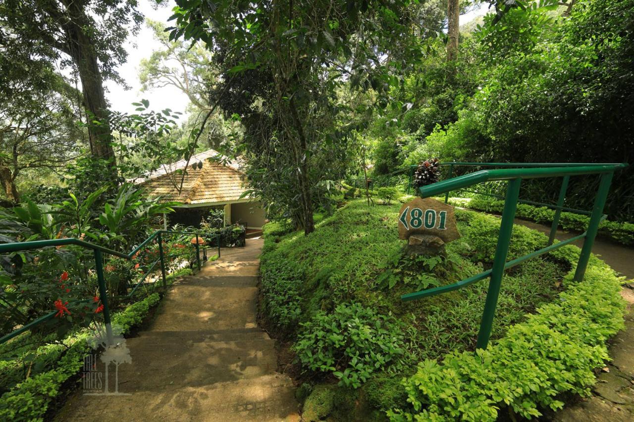The Tall Trees Munnar Kültér fotó