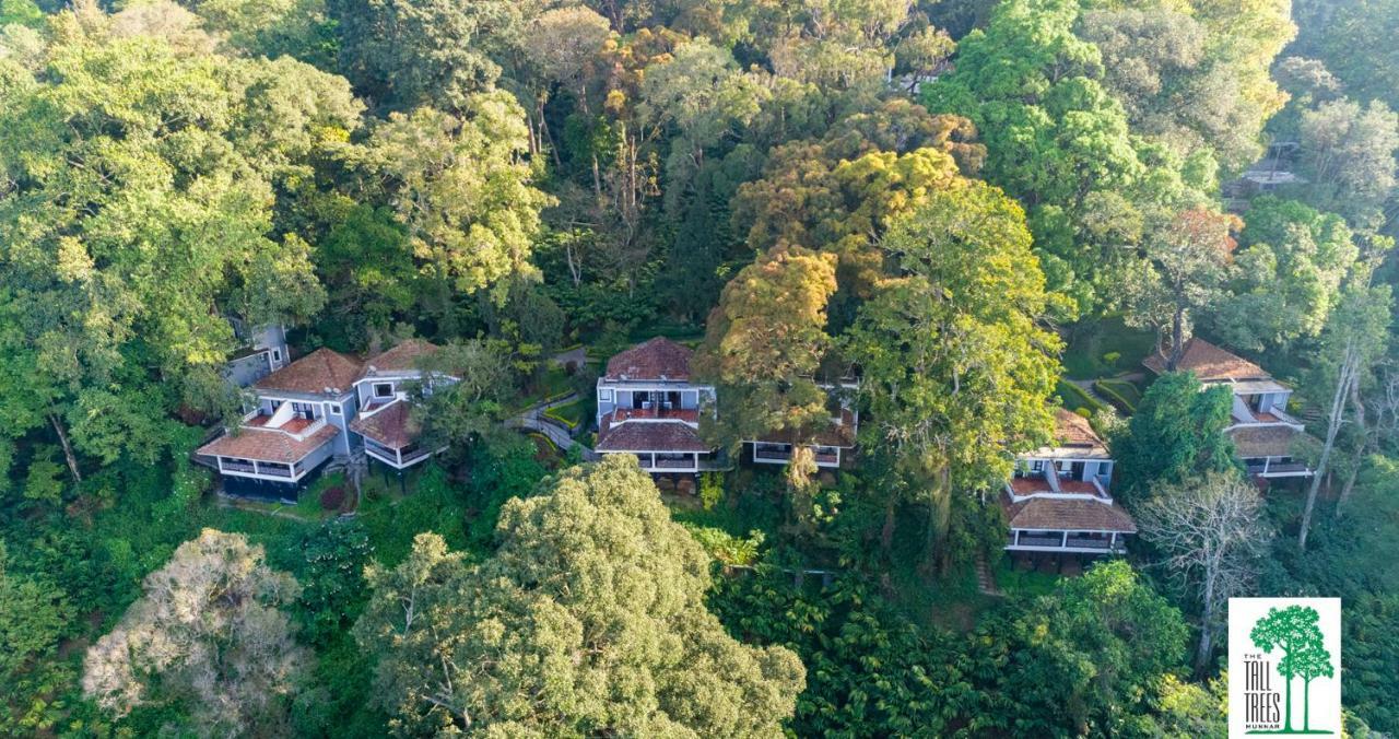 The Tall Trees Munnar Kültér fotó