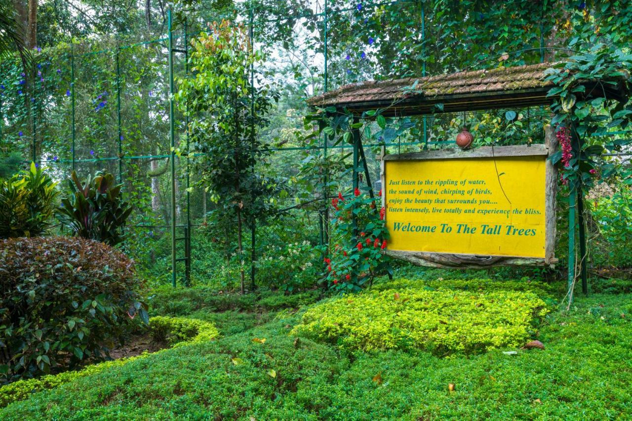 The Tall Trees Munnar Kültér fotó