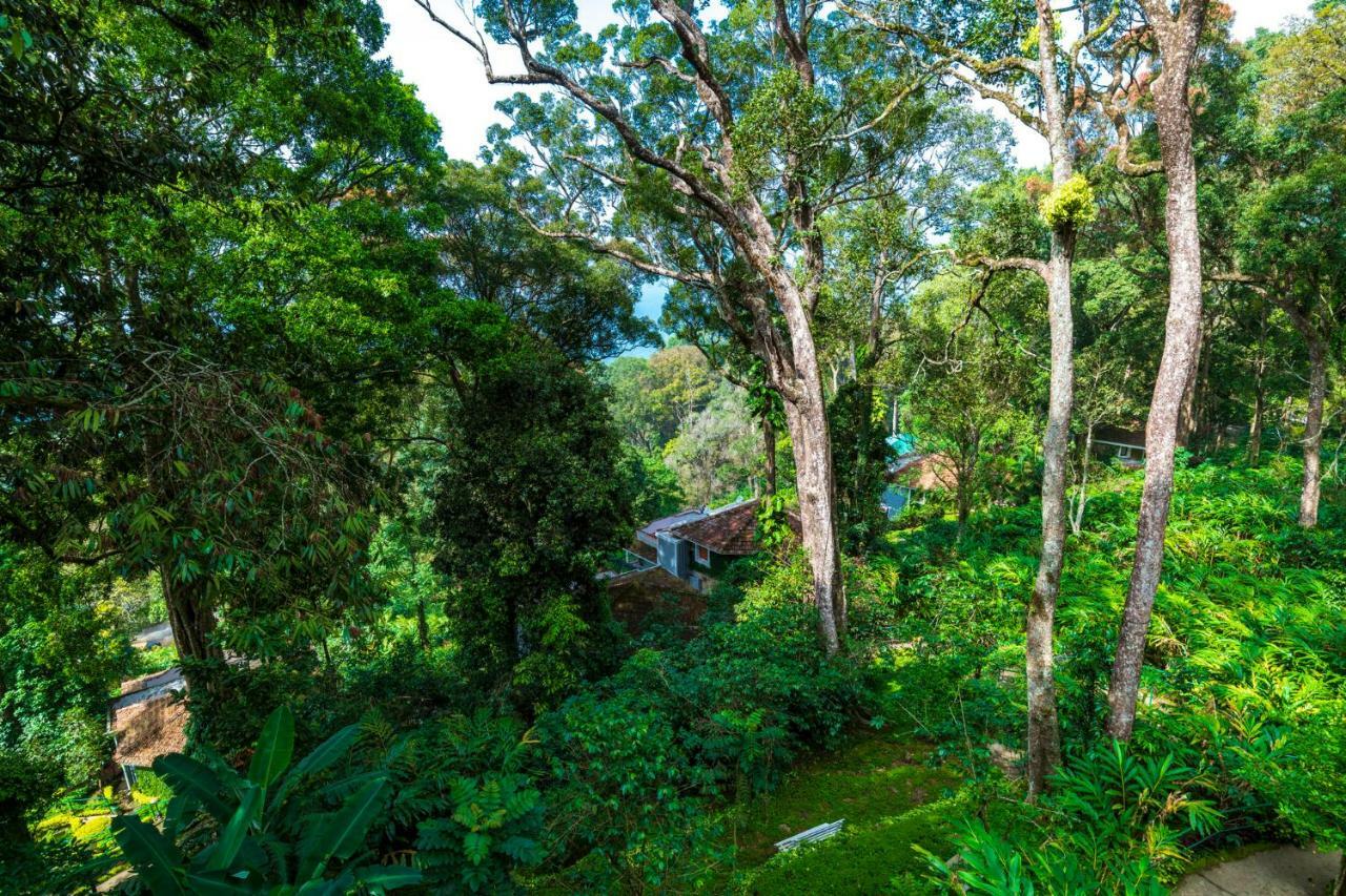 The Tall Trees Munnar Kültér fotó